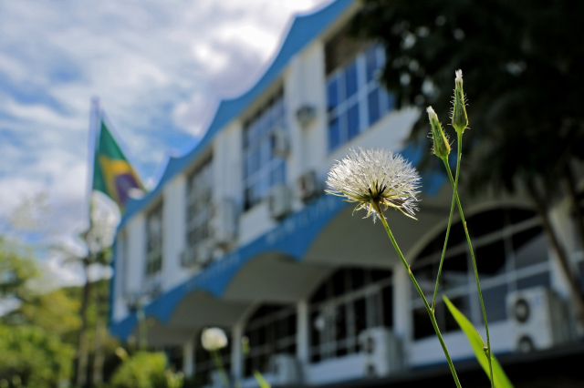 Confira o expediente da Prefeitura de BC no Dia do Servidor Público